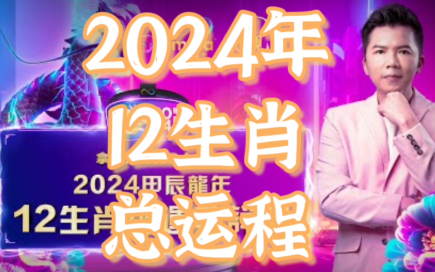 2024年一肖一码一一肖一子|电信讲解解释释义