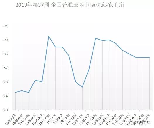 玉米最新价格及走势分析