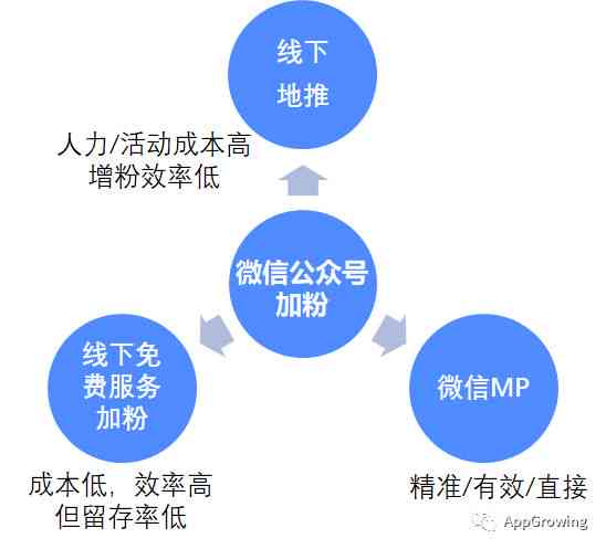 探索小草最新公众号，内容、价值与影响力