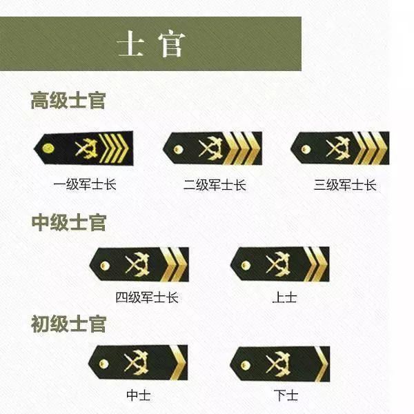 军改军衔设置最新图片，重塑军队荣誉与力量的象征