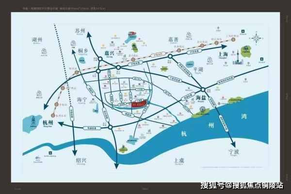 权谋张鹏飞最新更新深度解析